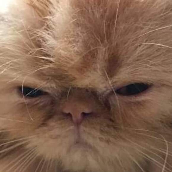 wjkatz